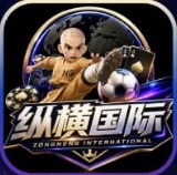 纵横国际